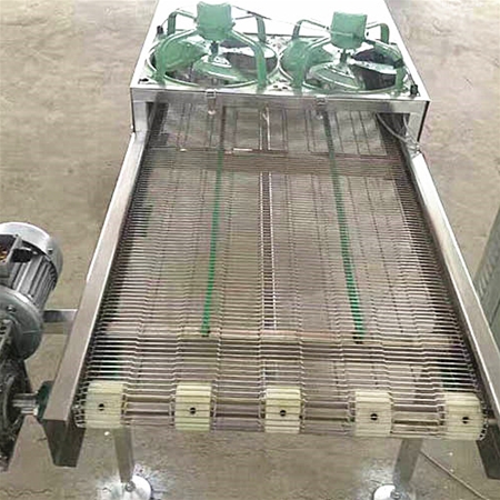 鏈闆(ban)網(wang)帶(dai)輸(shu)送(song)機(ji)