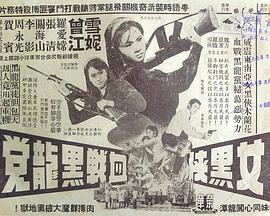 女黑(hei)俠血戰(zhan)黑龍(long)黨粵(yue)語(yu)