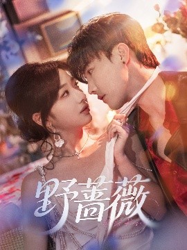 壄(ye)薔(qiang)薇(wei)